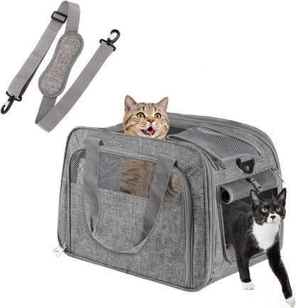 Large Soft-Sided Cat Carrier – Portable, Breathable Mesh, Foldable, Top-Loading, Holds Up to 20 lbs, Fits 2 Cats