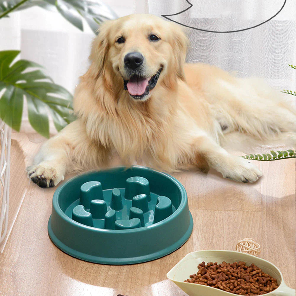 Non-Slip Slow Feeder Bowl – Choke-Proof Pet Bowl for Small Dogs & Cats, Ideal for Rice & Food