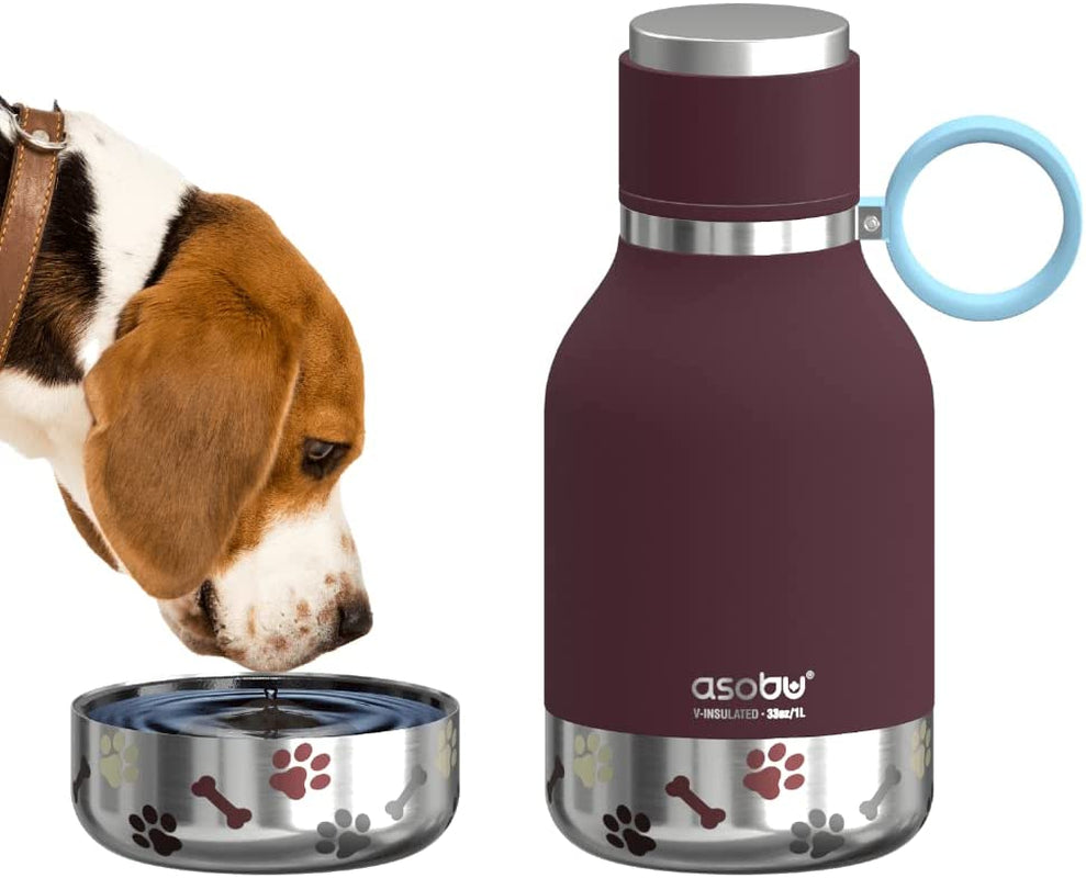 Dog Bowl & Stainless Steel Insulated Travel Bottle