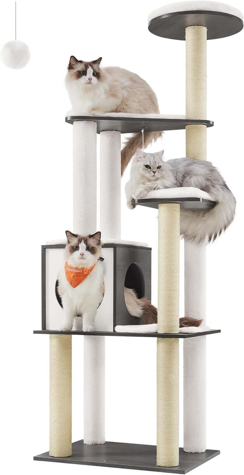 Cozy Adventure Cat Tower