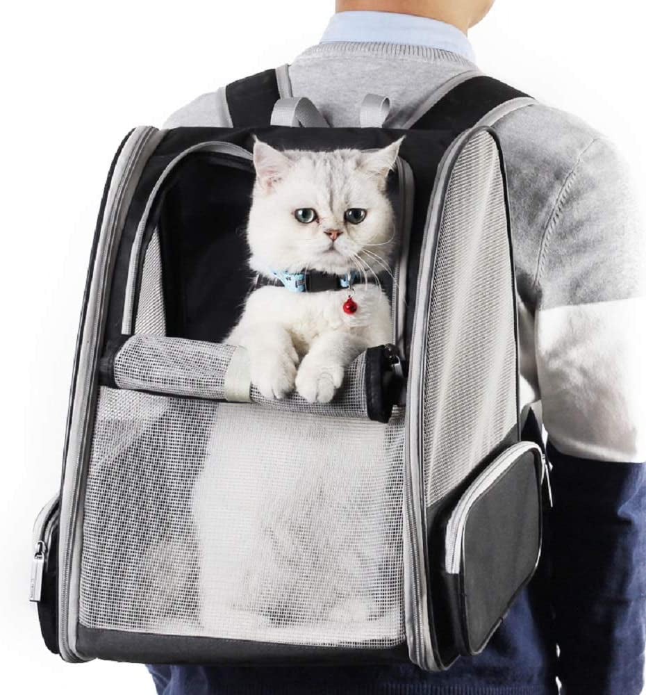 Innovative Bubble Backpack Pet Carrier for Cats & Dogs - Travel in Style!