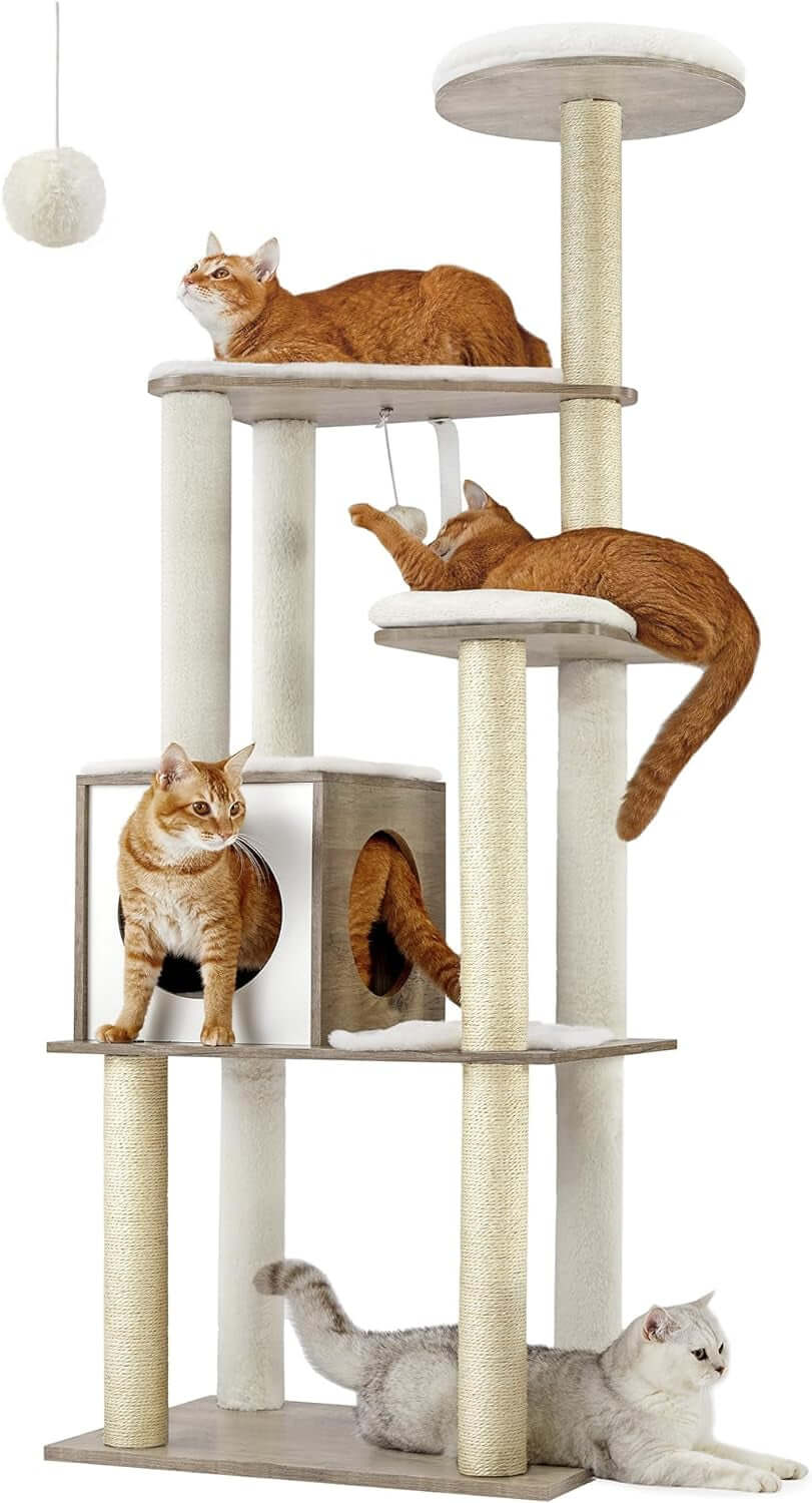 Cozy Adventure Cat Tower