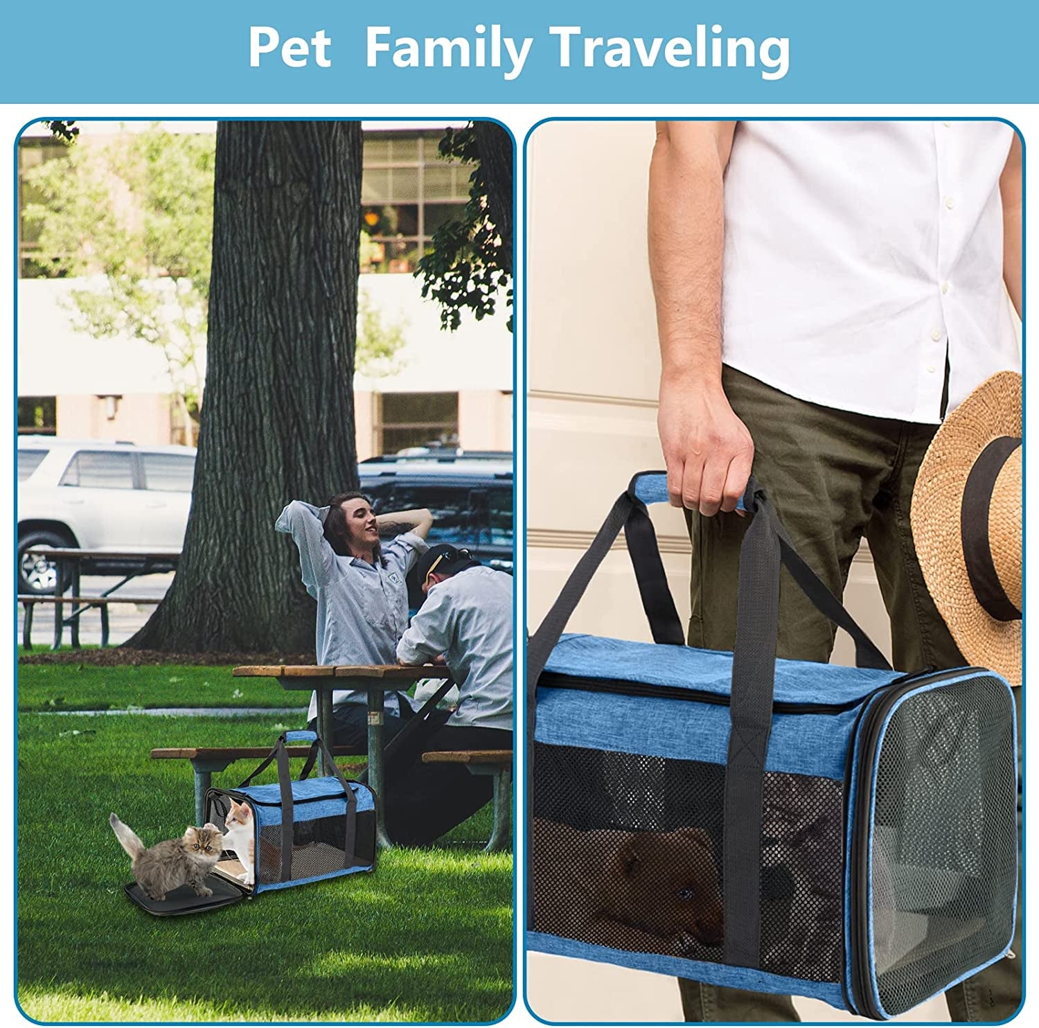 Large Soft-Sided Cat Carrier – Portable, Breathable Mesh, Foldable, Top-Loading, Holds Up to 20 lbs, Fits 2 Cats