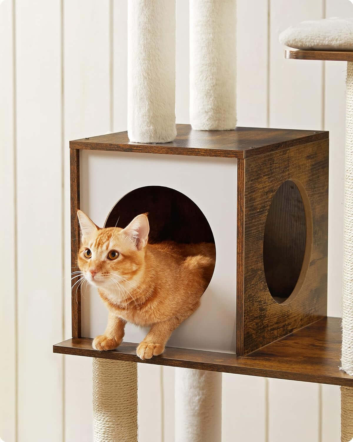 Cozy Adventure Cat Tower