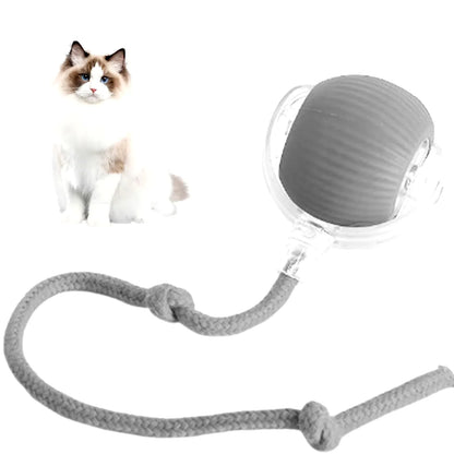 Interactive Rechargeable Rolling Ball Toy for Cats & Dogs - Smart Pet Entertainment