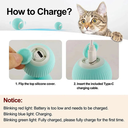 Pet Gravity Cat Smart Interactive Toy | Automatic Moving Remote-Controlled Mouse & Kitty Ball for Dogs & Cats | Indoor Fun for Pets