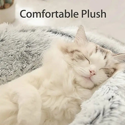 Winter Plush Pet Cat Bed | 2-in-1 Cat Cushion House & Warm Sleep Bag for Small Dogs and Cats