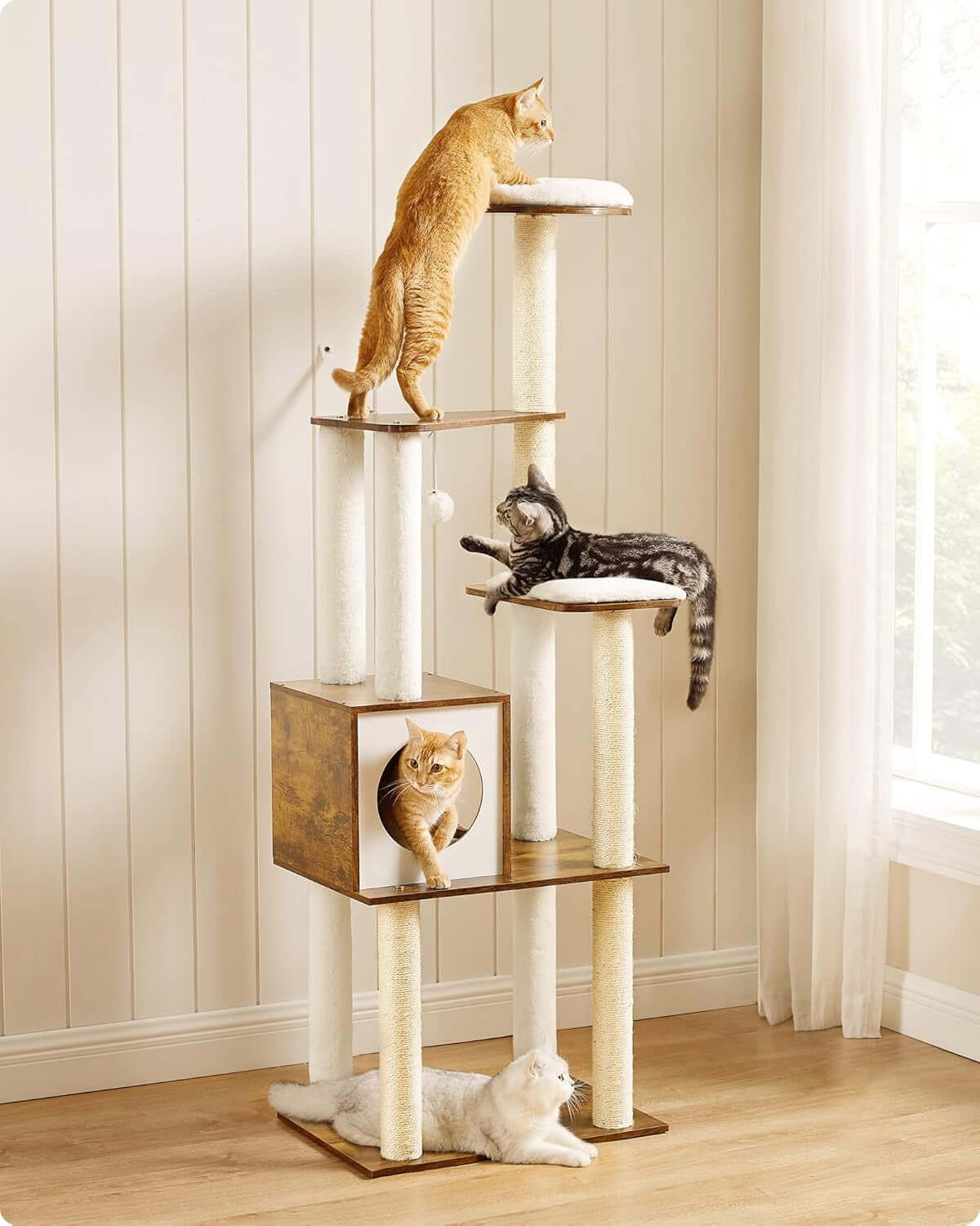 Cozy Adventure Cat Tower