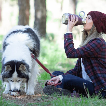 Dog Bowl & Stainless Steel Insulated Travel Bottle