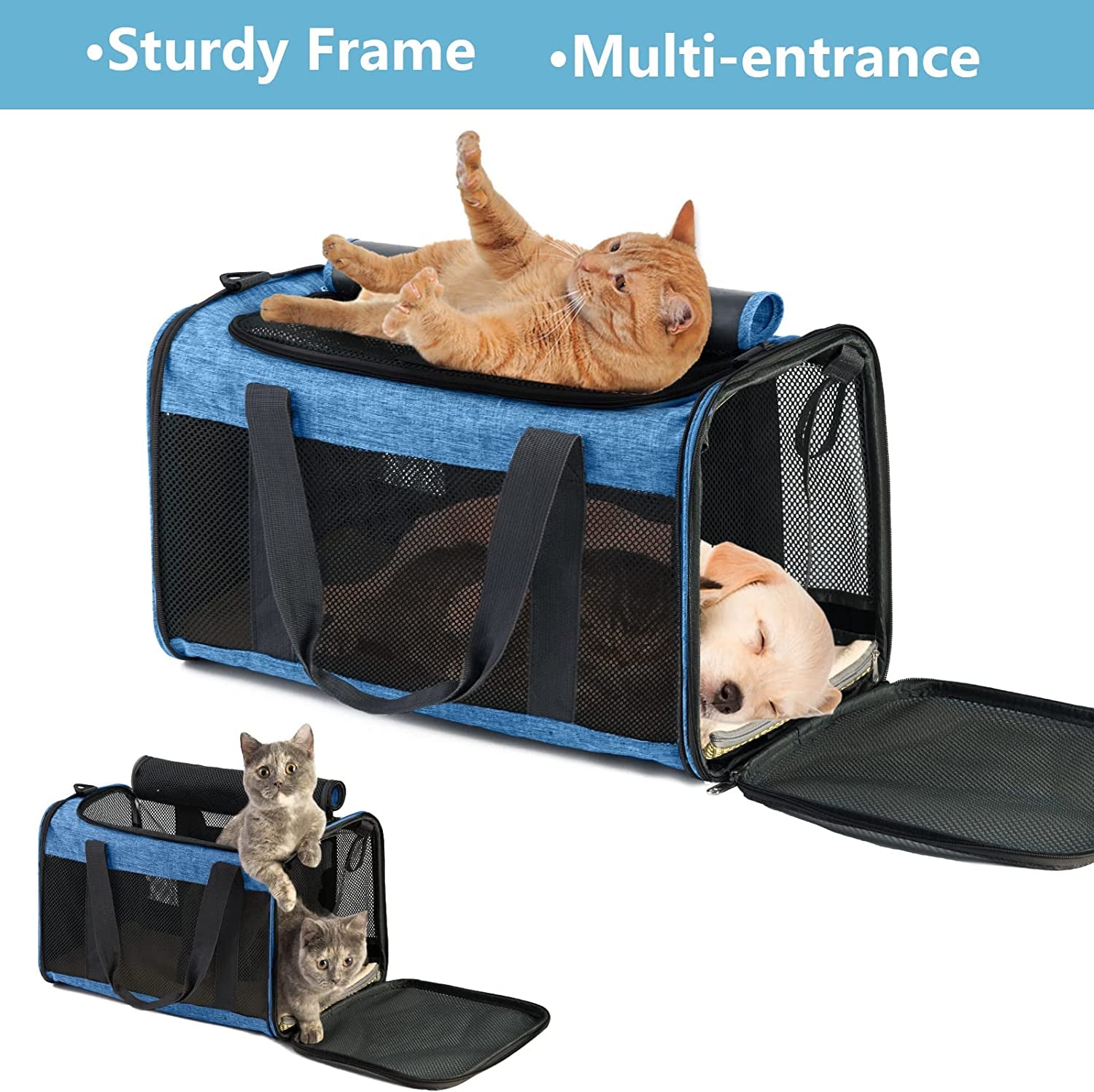 Large Soft-Sided Cat Carrier – Portable, Breathable Mesh, Foldable, Top-Loading, Holds Up to 20 lbs, Fits 2 Cats